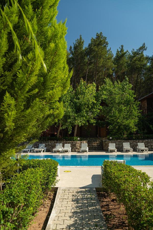 Olimpia Hotel Olympos Extérieur photo