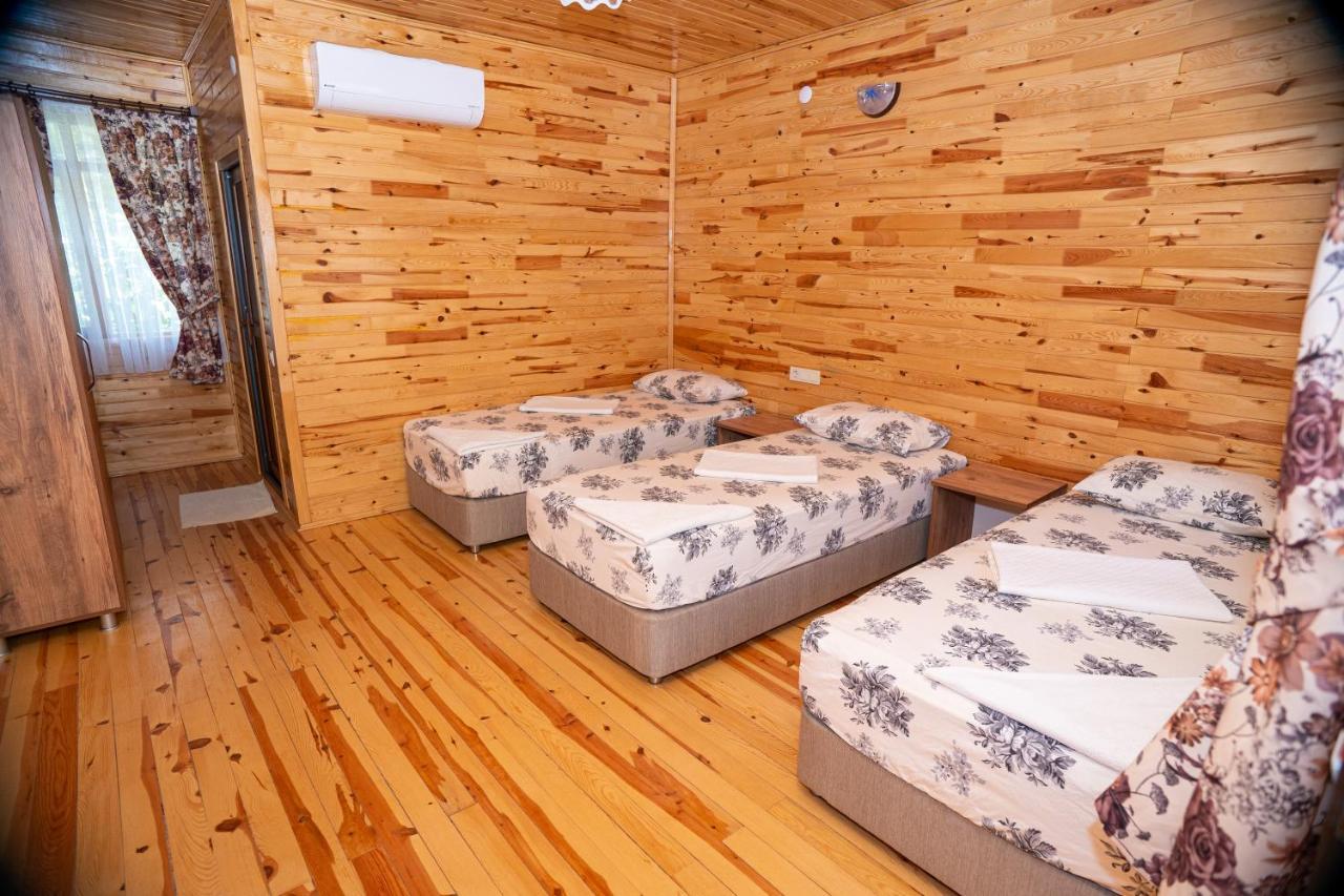 Olimpia Hotel Olympos Extérieur photo