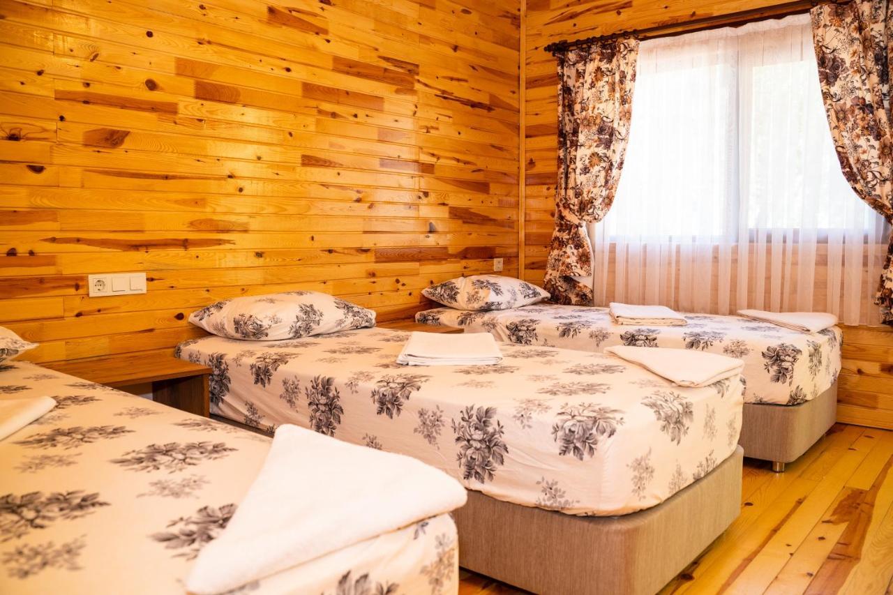 Olimpia Hotel Olympos Extérieur photo