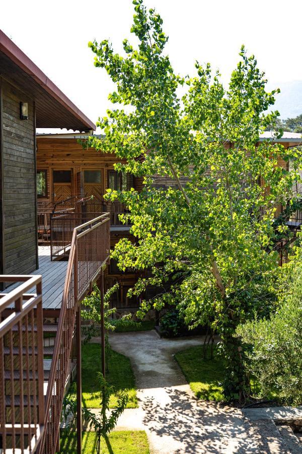 Olimpia Hotel Olympos Extérieur photo